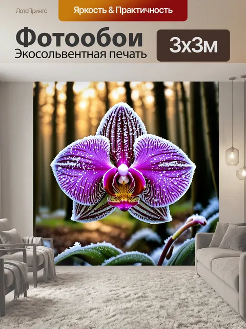 Фотообои фаленопсис в атмосфере зимнего леса, покрытая инеем и деликатно сверкающими снежинками