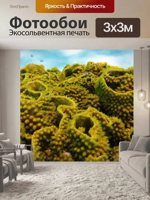 Фотообои Море