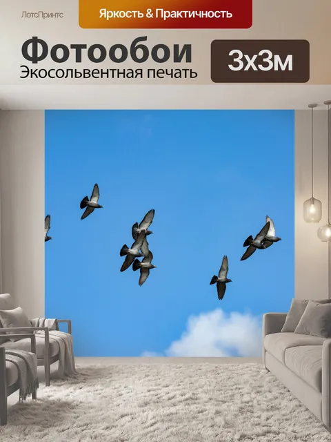 Фотообои Птицы летают
