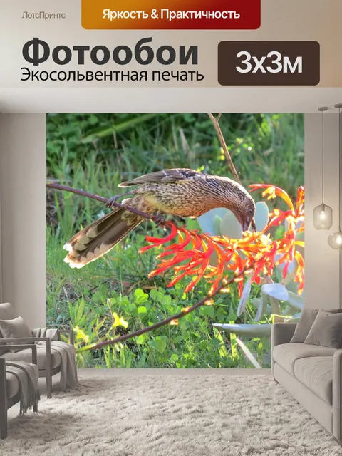 Фотообои Маленькая птичка