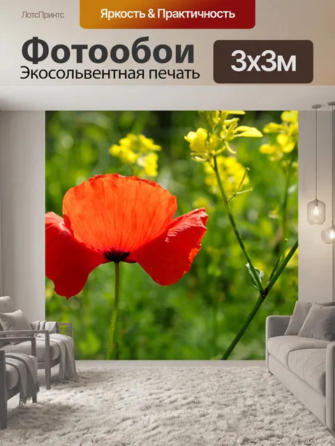 Фотообои Red