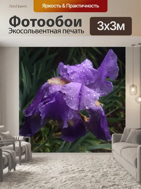 Фотообои Цветы