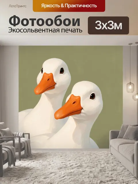 Фотообои Две белые утки с оранжевыми клювами