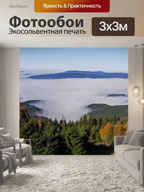 Фотообои Черный лес