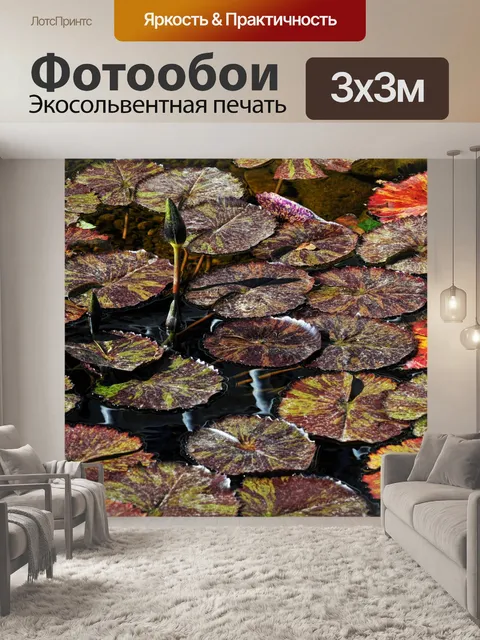 Фотообои Крупным планом осень Лили пруда