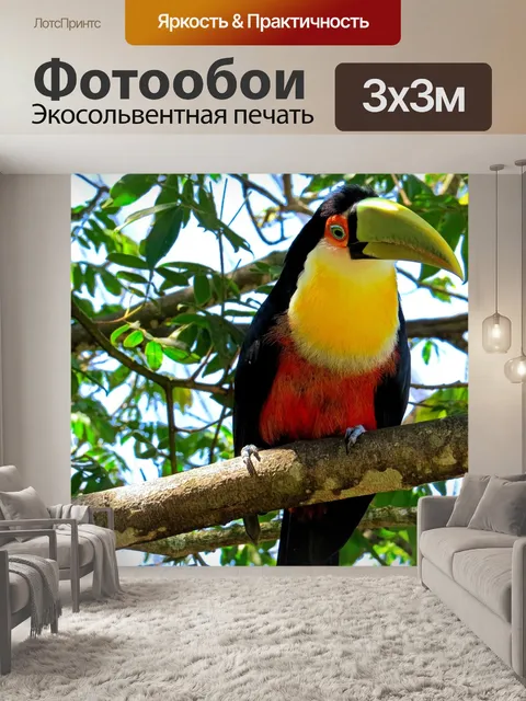 Фотообои Тукан