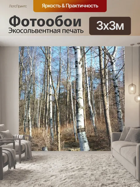 Фотообои Береза
