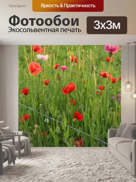 Фотообои Красочные Полевые цветы Красные маки