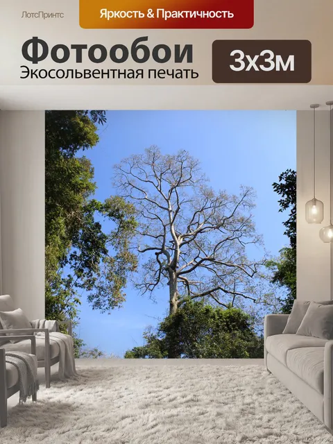 Фотообои Серебряное дерево и листья