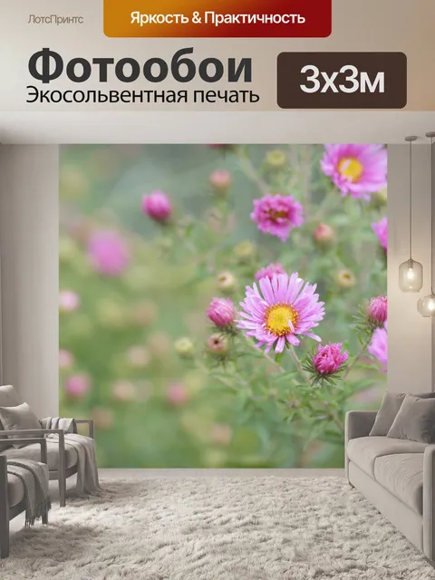 Фотообои Цветочный сад астры