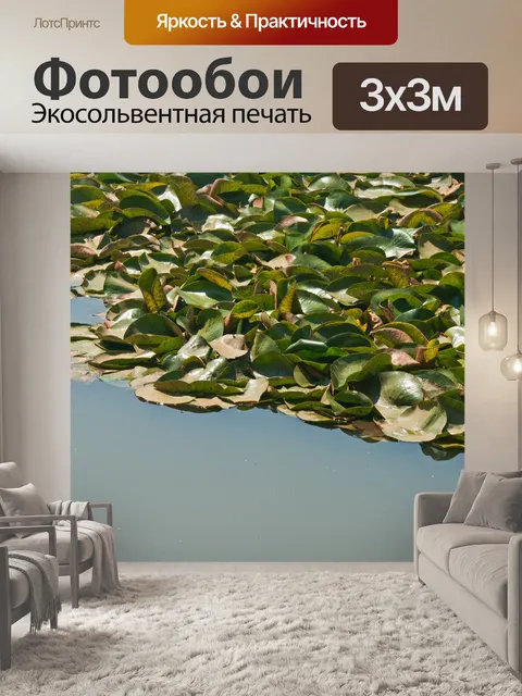 Фотообои листья кувшинки на поверхности пруда