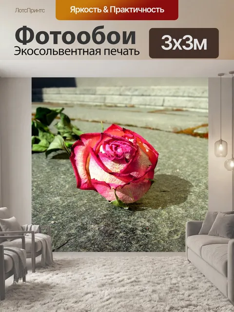 Фотообои Роза