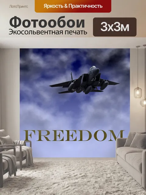 Фотообои Freedom Poster F-15A