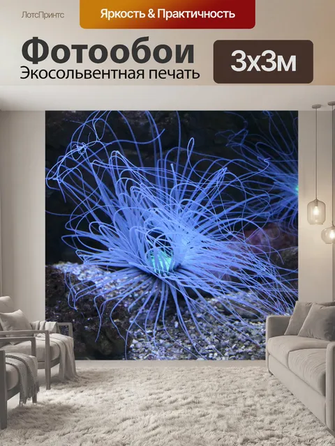 Фотообои Коралл
