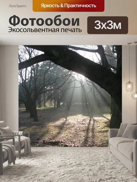 Фотообои Восход