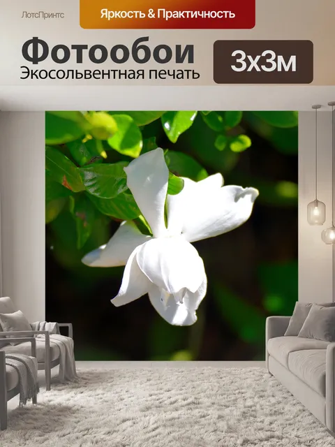 Фотообои Гардения цветочный фон