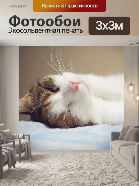 Фотообои Кошка
