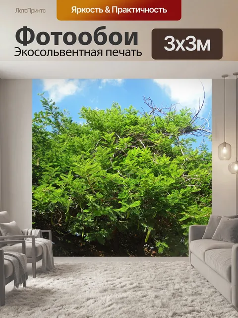 Фотообои небо и облака над ярко-зеленым деревом