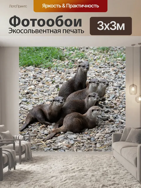 Фотообои Семья выдры 4