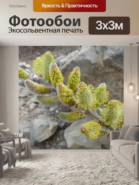 Фотообои Природа