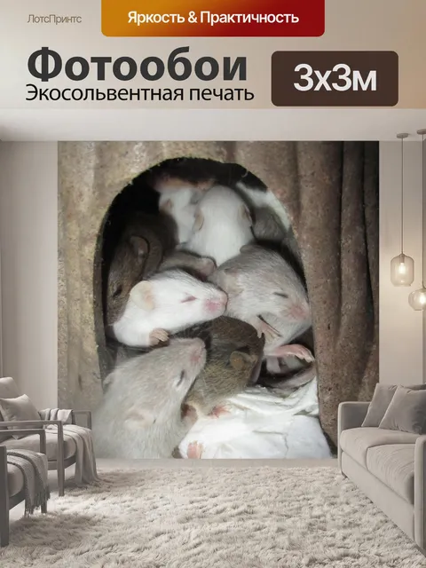 Фотообои мышей