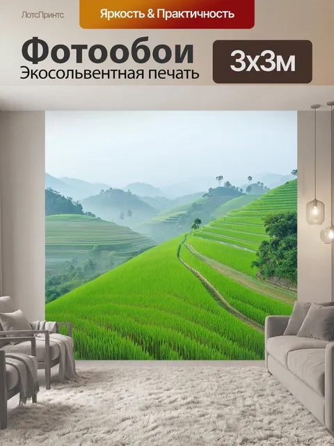 Фотообои спокойное утро в китайском пейзаже: мирные холмы с рисовыми полями, разделенные узкими тропинками