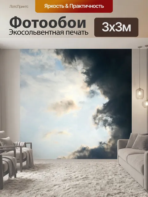 Фотообои темное облако на светлом небе