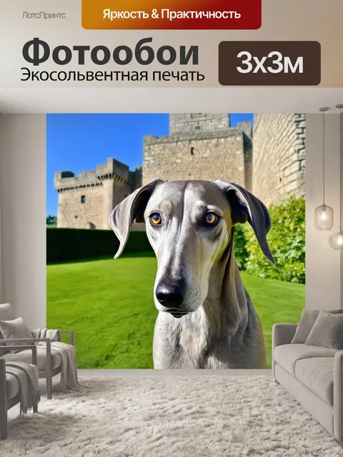 Фотообои фотография борзой на фоне старинного замка, с четкими деталями каменной кладки и зеленых растений