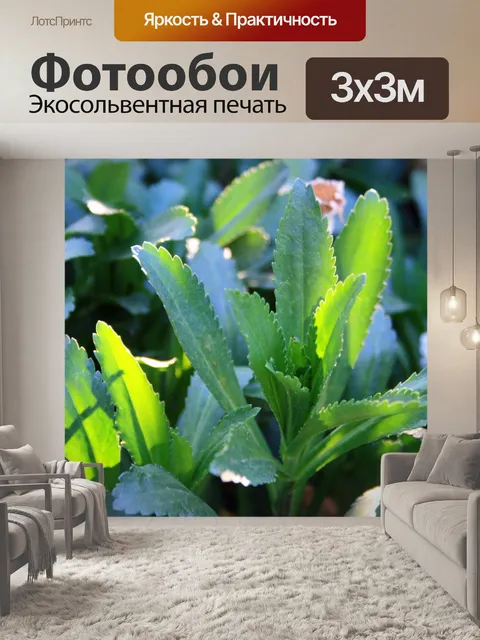Фотообои ВС на зеленых листьях