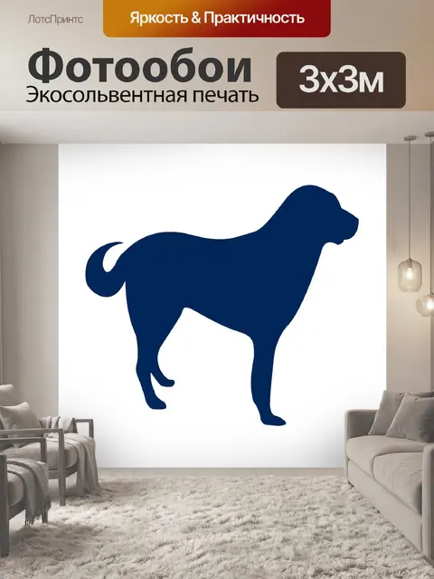 Фотообои Собака