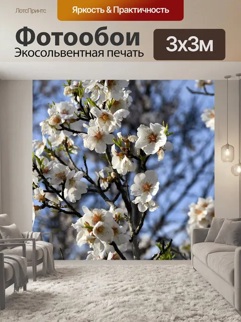 Фотообои Цветы