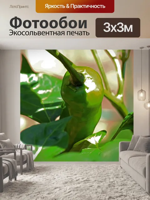 Фотообои острый сладкий зеленый перец