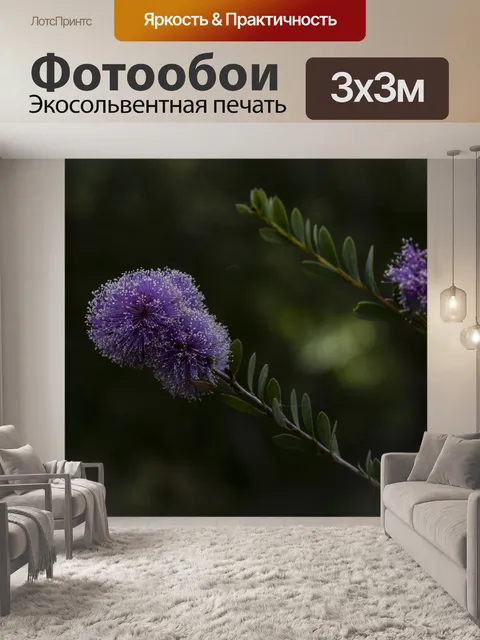 Фотообои Цветы фиолетового шара