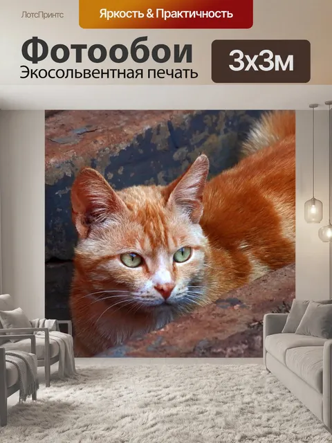 Фотообои рыжий кот с зелеными глазами