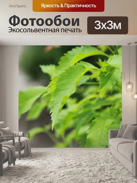 Фотообои Группа