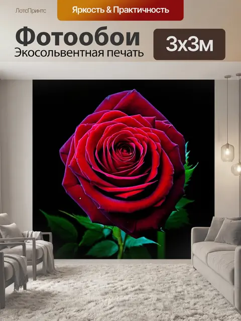 Фотообои розы в стиле нуар, с контрастными размерами элементов, создающими интересное визуальное восприятие