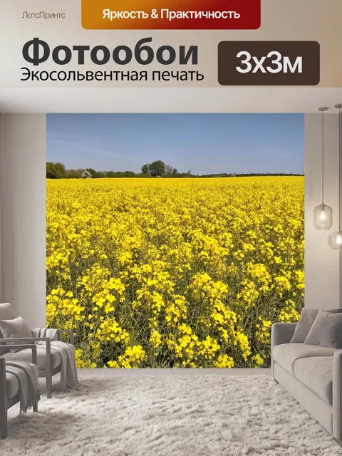 Фотообои Поле рапса пейзаж небо