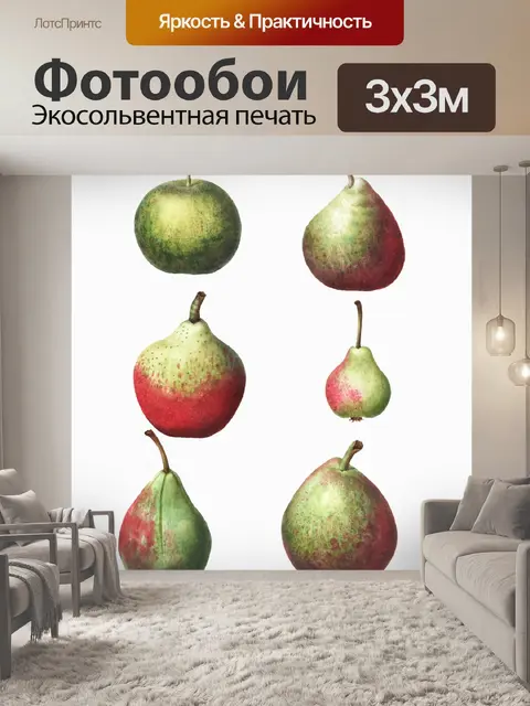 Фотообои Фрукты груши винтаж старый