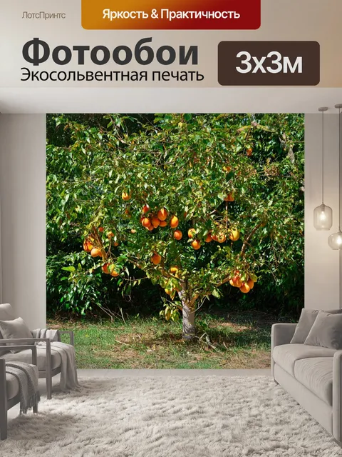 Фотообои дерево, растущее в заброшенном саду, окружаемом зарослями