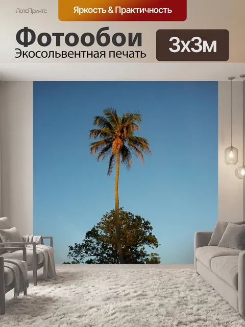 Фотообои Кокосовое дерево