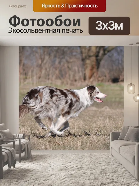 Фотообои Бордюр из пластилина