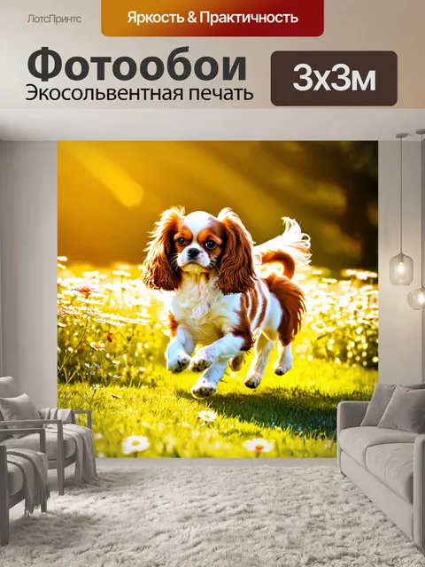 Фотообои кавалер-король чарльз спаниель, бегающий по полю в ярком солнечном свете, с цветами вокруг