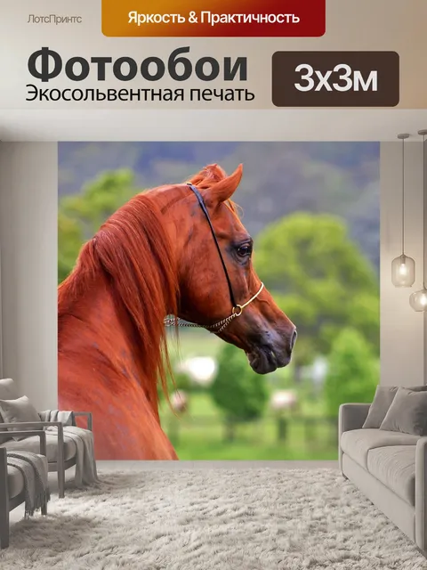 Фотообои Арабский