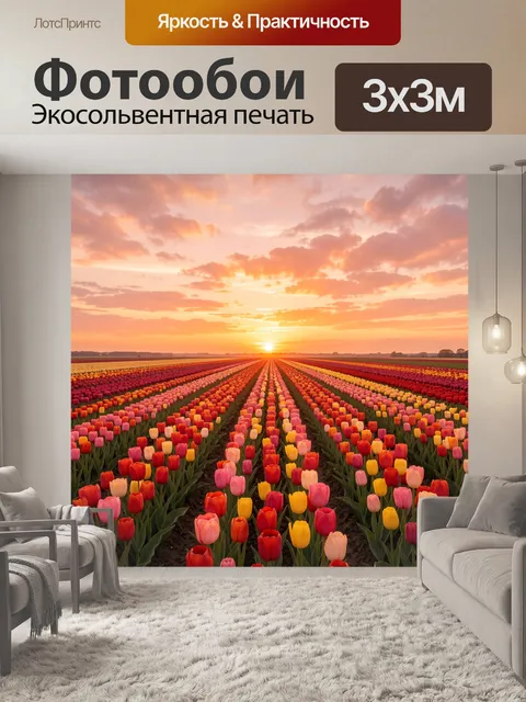 Фотообои Поле тюльпанов на закате