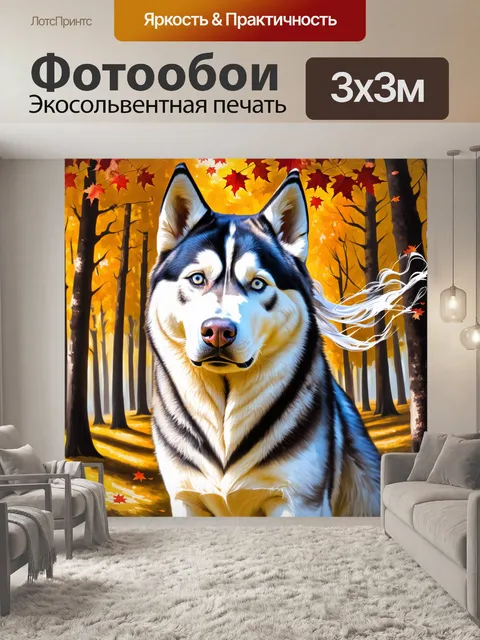 Фотообои сибирский хаски на фоне осеннего леса, листву которого окрасил золотисто-красный цвет