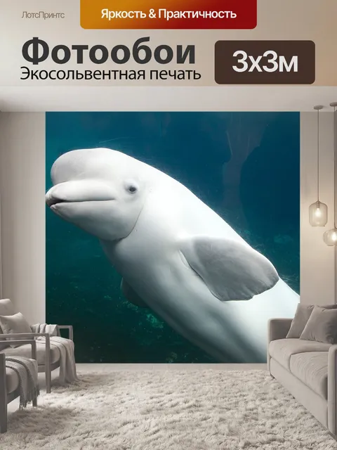 Фотообои Белый дельфин