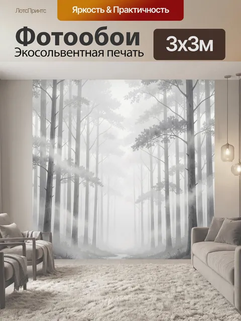 Фотообои Туманный сосновый лес