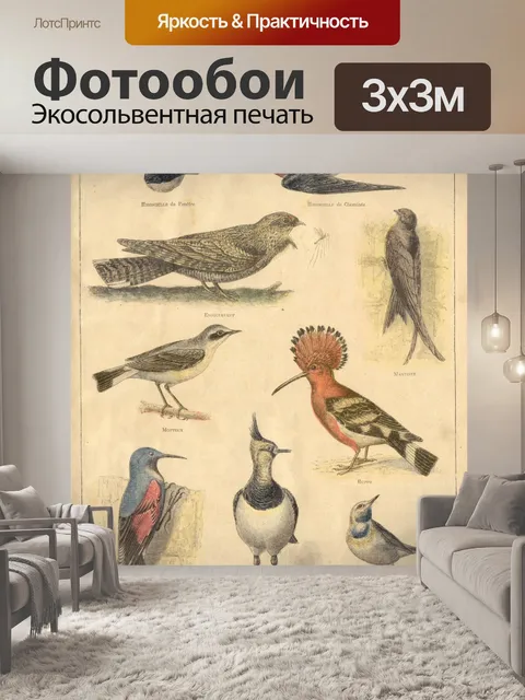 Фотообои Птицы винтаж искусство старые