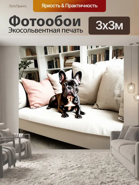 Фотообои изображение французского бульдога