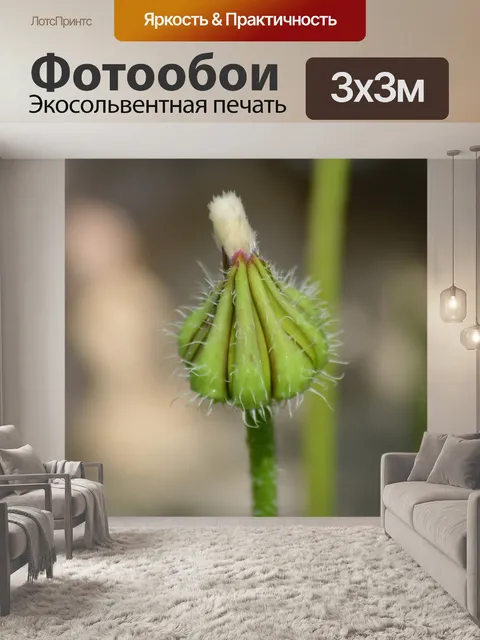 Фотообои Цветок